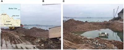 Research on scallop shells transport of the Yantai coastal region in the Bohai Sea